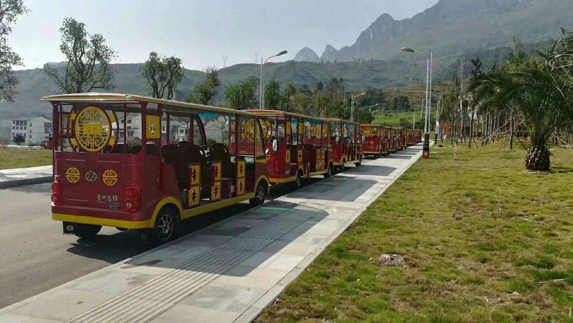 11座燃油观光车