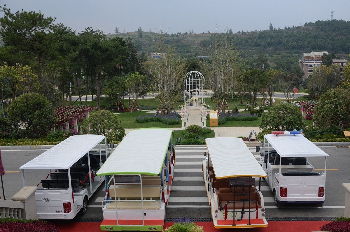 忠辉观光车花溪碧桂园客户案例图片