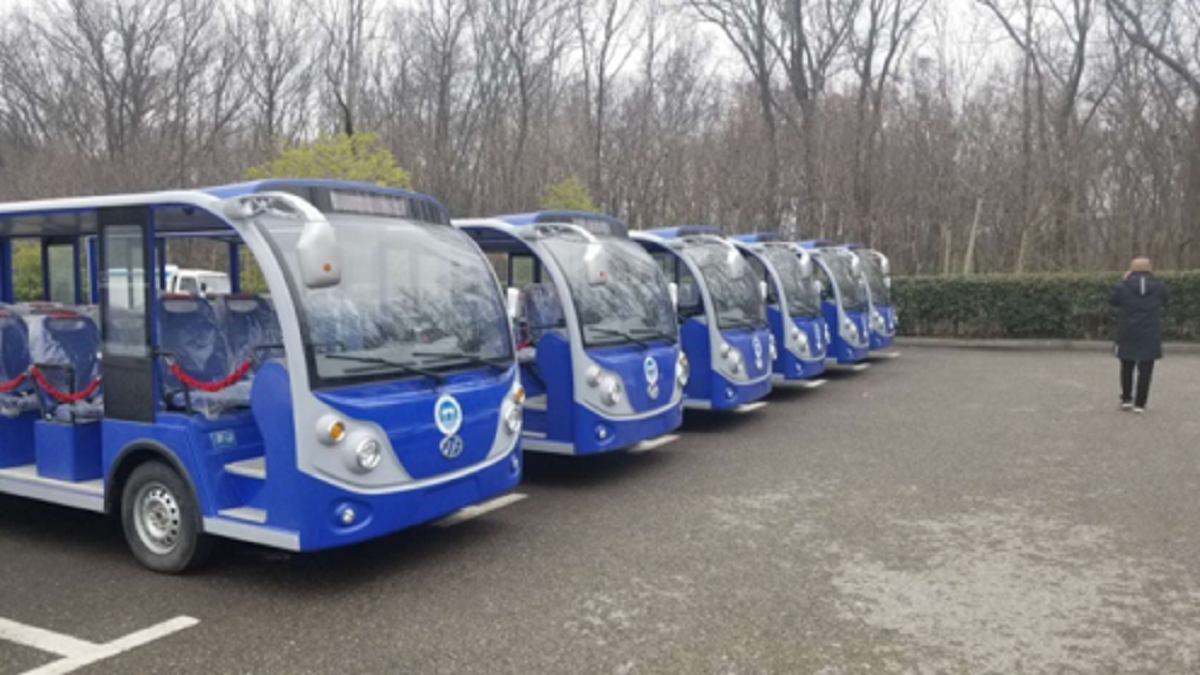 忠辉观光车 忠辉观光车