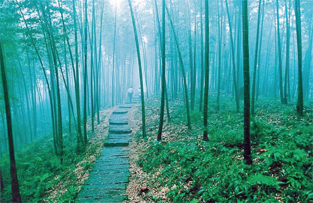 忠辉23座景区观光车 忠辉23座景区观光车