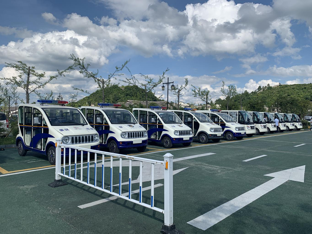 忠辉观光车 忠辉观光车