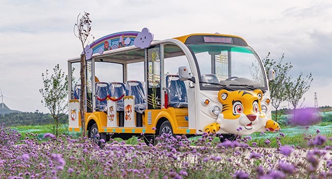 卡通电动观光车 卡通电动观光车