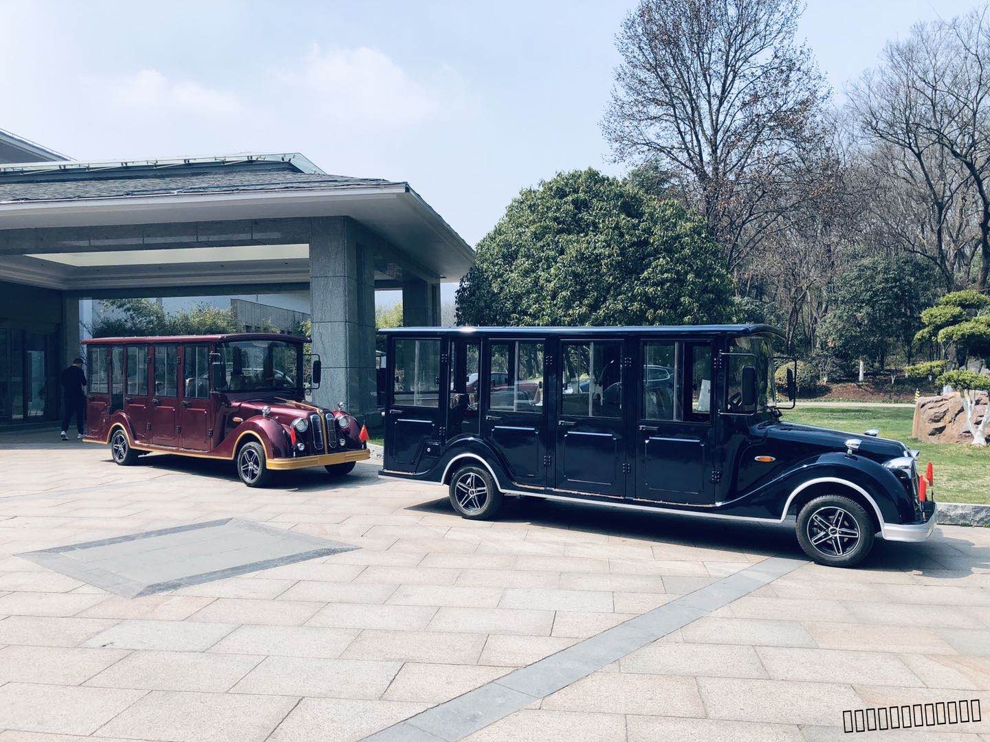 忠辉观光车 忠辉观光车