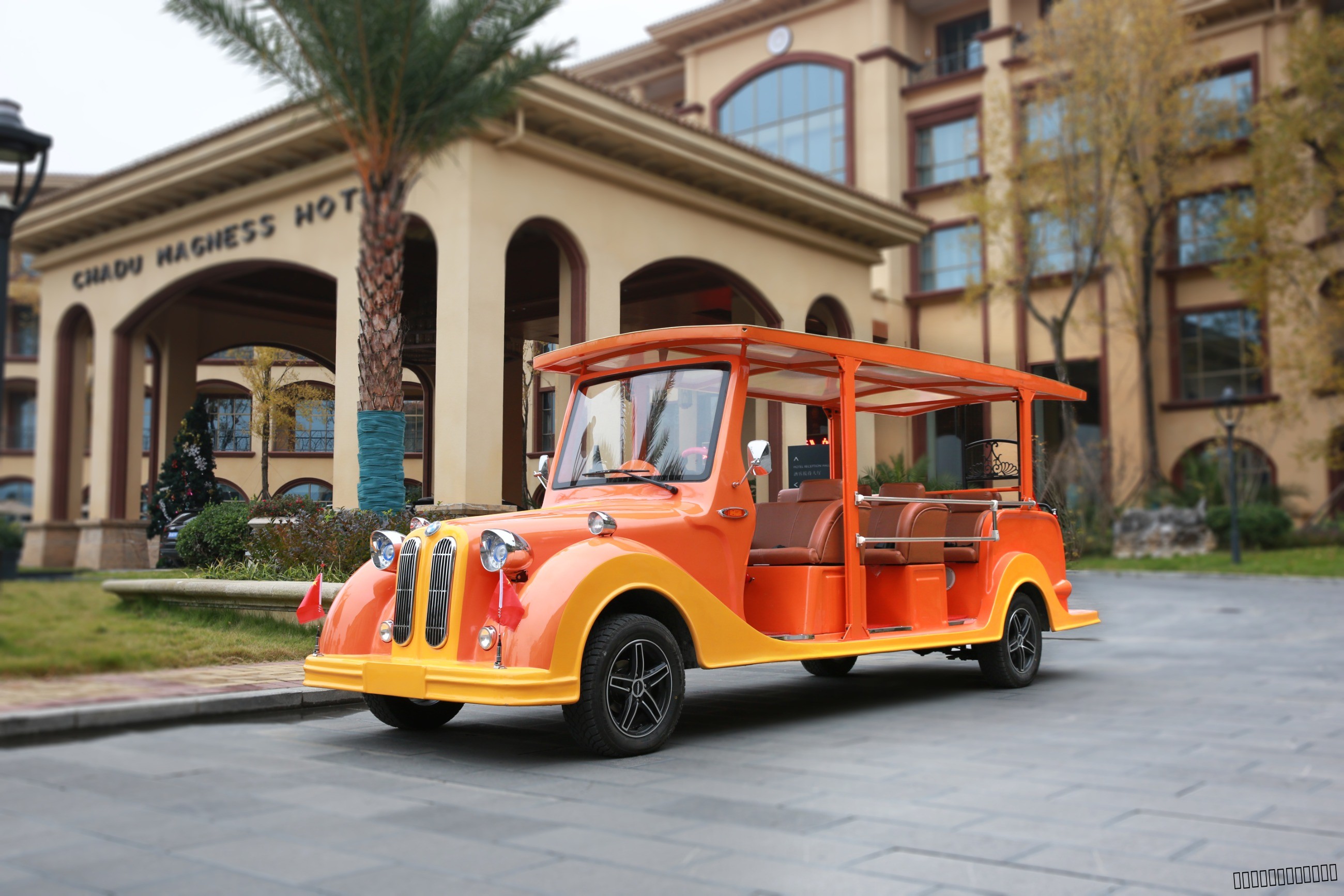 忠辉观光车 忠辉观光车