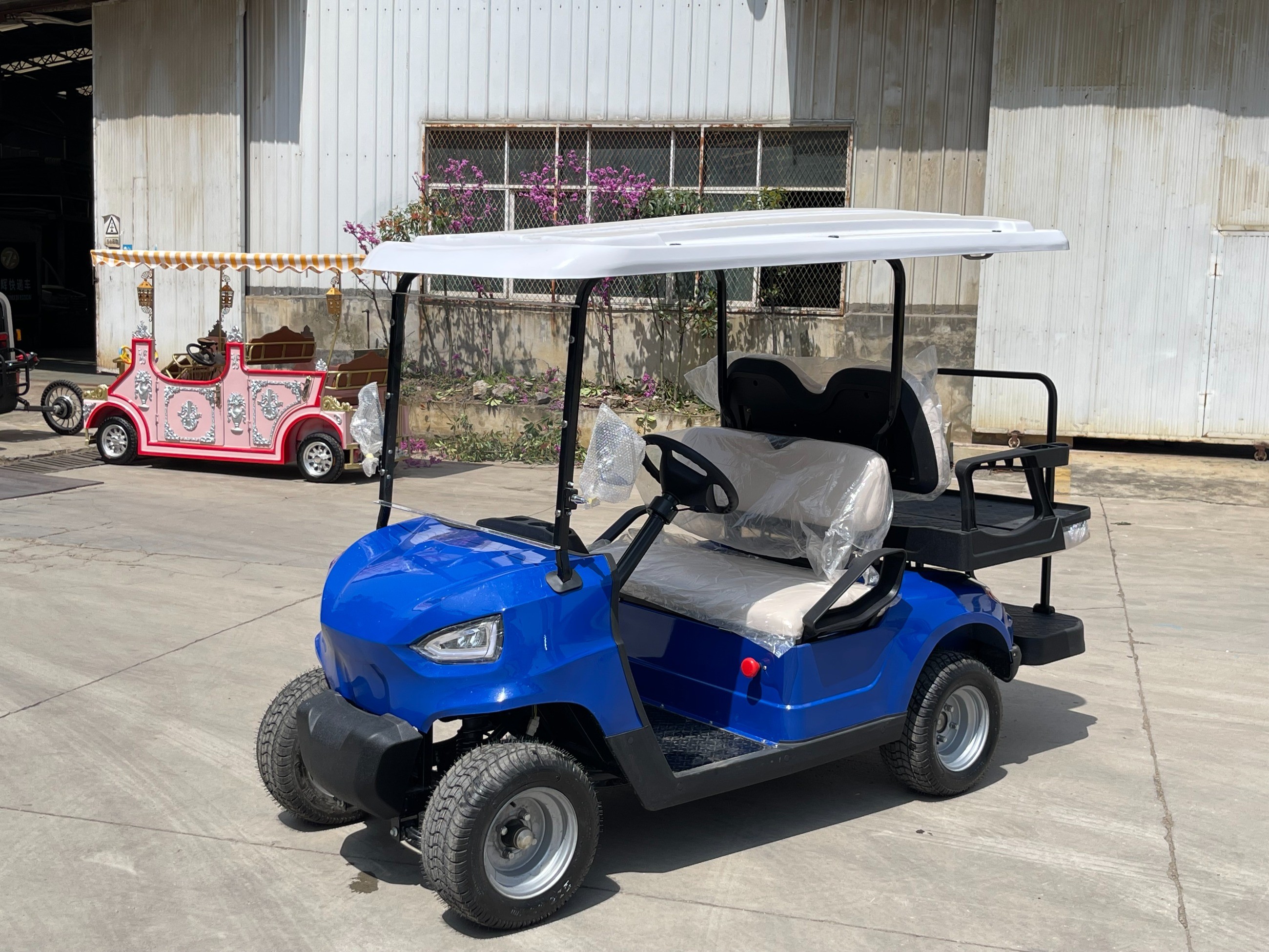 忠辉观光车 忠辉观光车