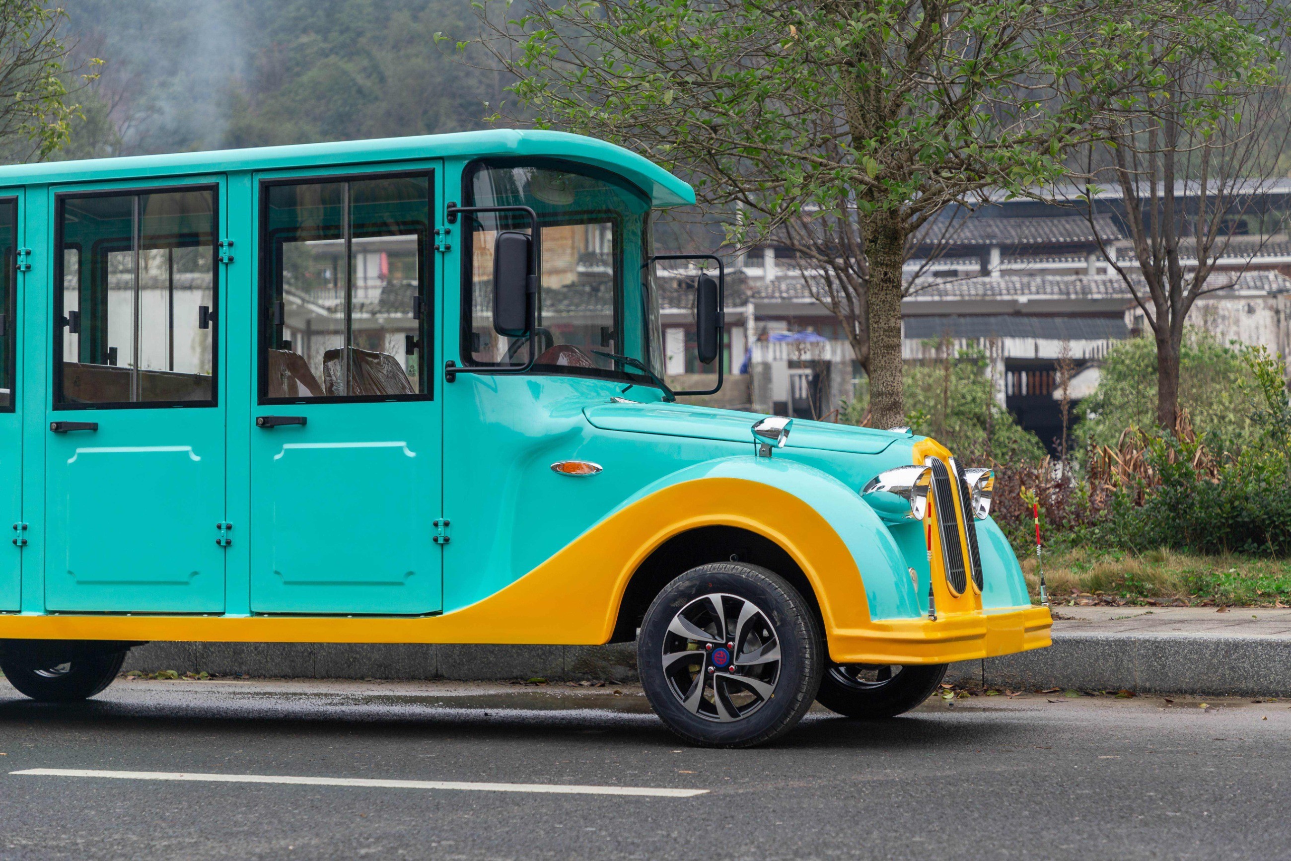 忠辉观光车 忠辉观光车