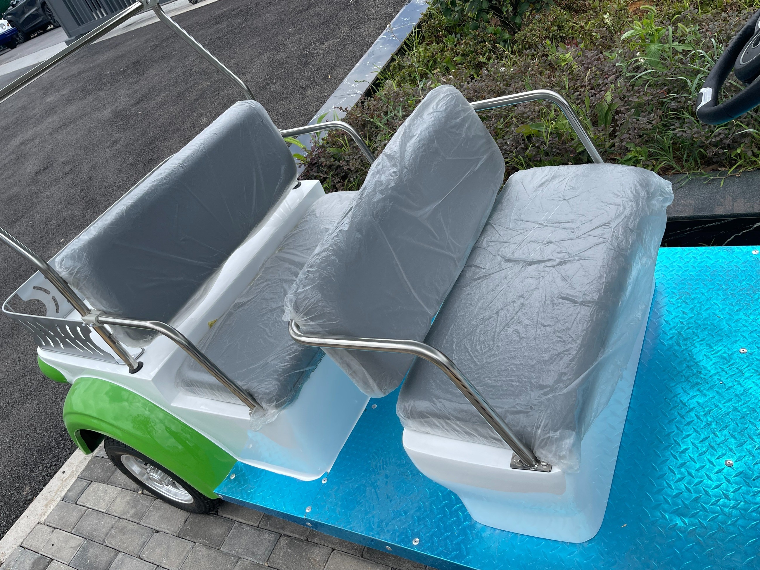 忠辉观光车 忠辉观光车