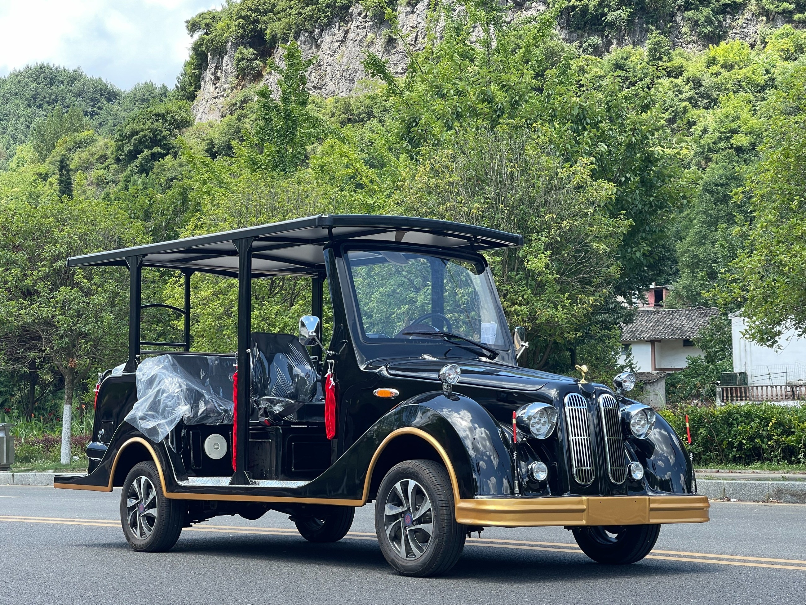 忠辉观光车 忠辉观光车