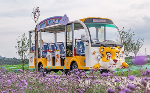 旅游景区为什么要用燃油观光车？