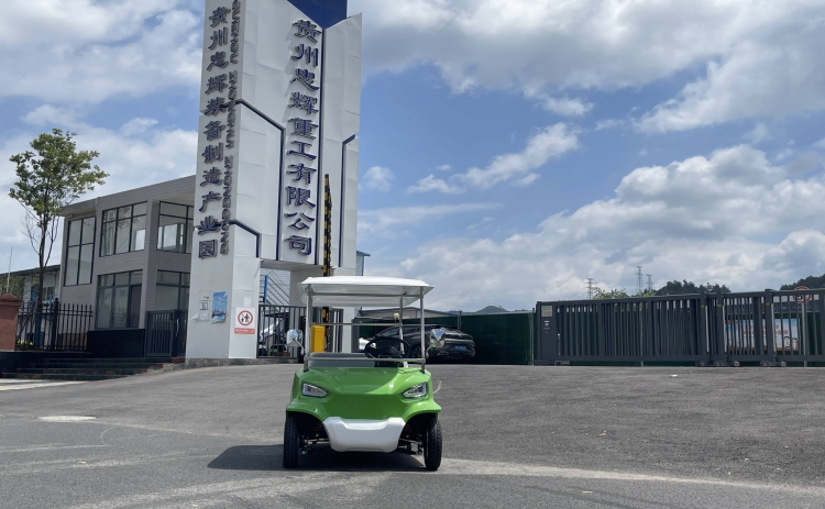 贵州忠辉4座电动游园代步车——青蛙