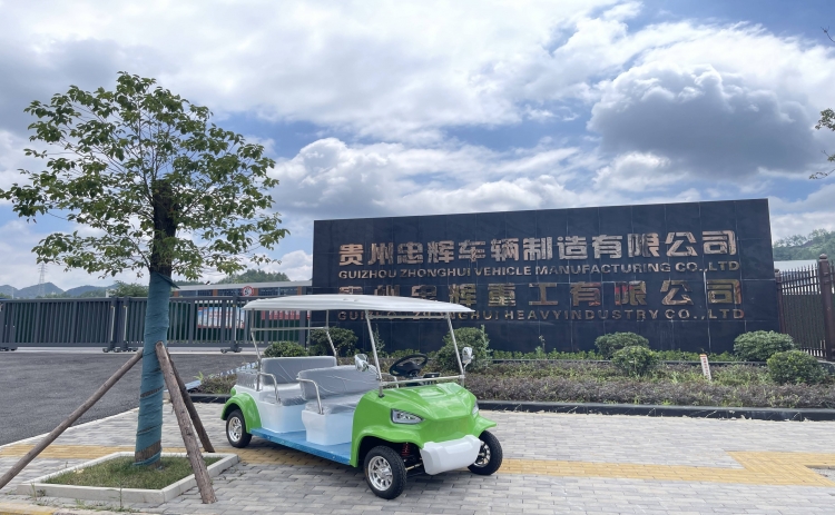 贵州忠辉4座电动游园代步车——青蛙