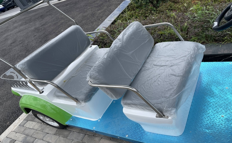 贵州忠辉4座电动游园代步车——青蛙