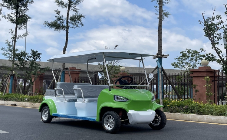 贵州忠辉4座电动游园代步车——青蛙